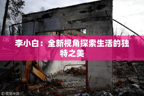 李小白：全新视角探索生活的独特之美
