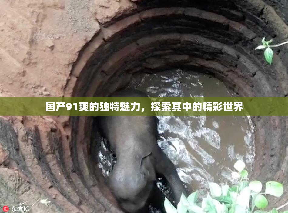 国产91爽的独特魅力，探索其中的精彩世界
