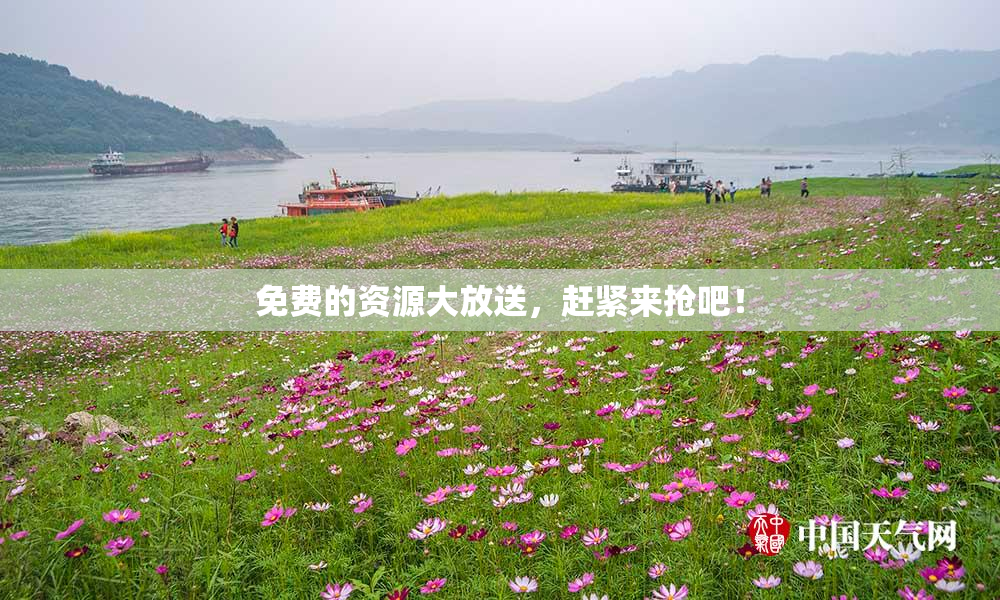免费的资源大放送，赶紧来抢吧！