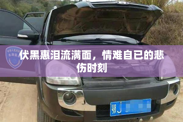 伏黑惠泪流满面，情难自已的悲伤时刻