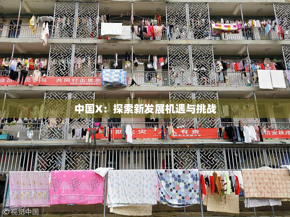 中国X：探索新发展机遇与挑战