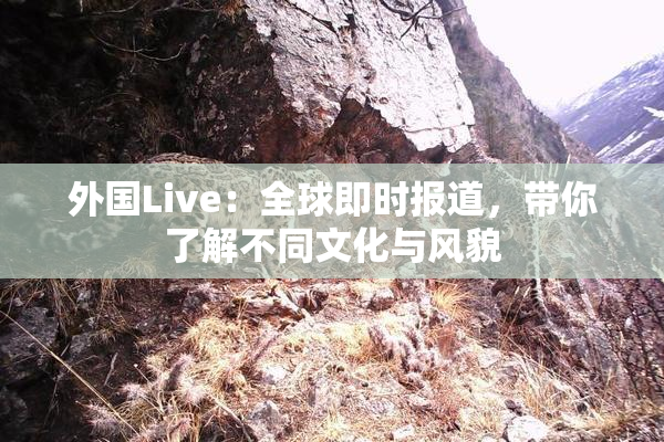 外国Live：全球即时报道，带你了解不同文化与风貌