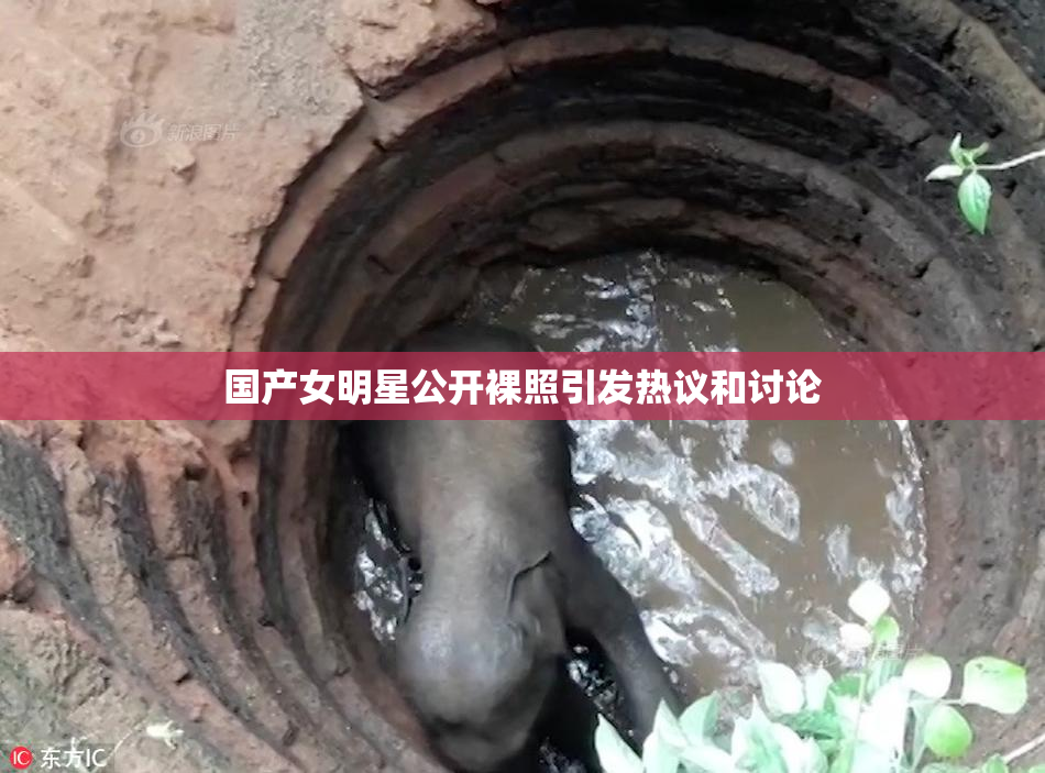 国产女明星公开裸照引发热议和讨论