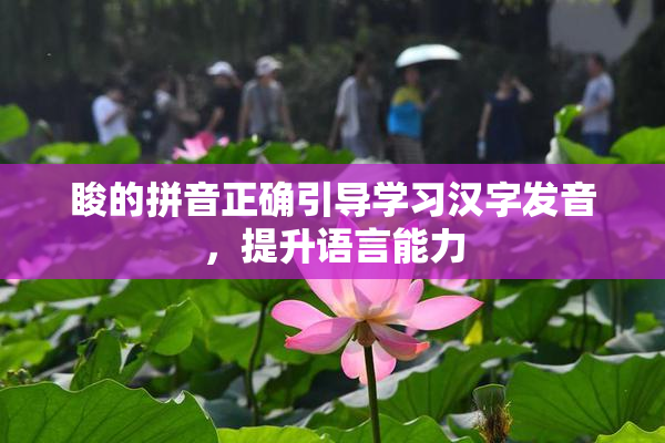 睃的拼音正确引导学习汉字发音，提升语言能力