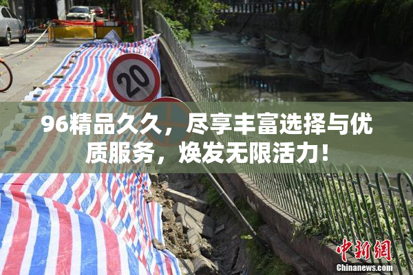 96精品久久，尽享丰富选择与优质服务，焕发无限活力！