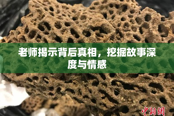 老师揭示背后真相，挖掘故事深度与情感