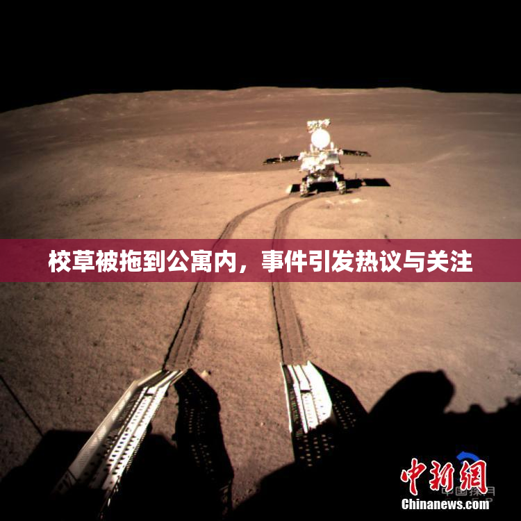 校草被拖到公寓内，事件引发热议与关注