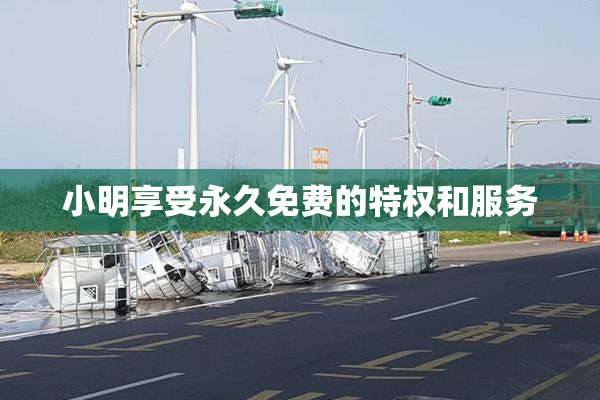 小明享受永久免费的特权和服务