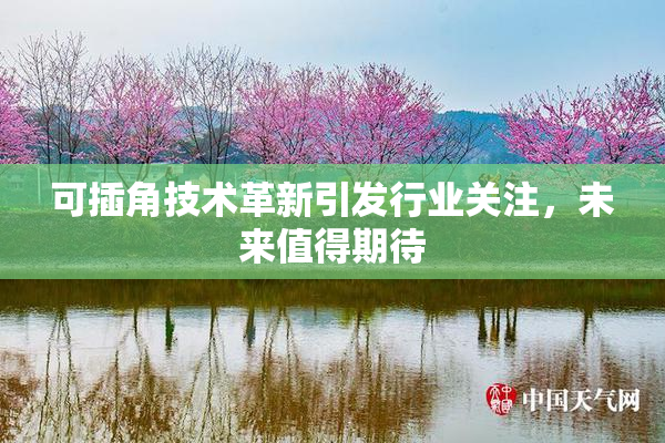 可插角技术革新引发行业关注，未来值得期待