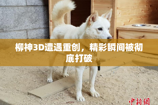 柳神3D遭遇重创，精彩瞬间被彻底打破