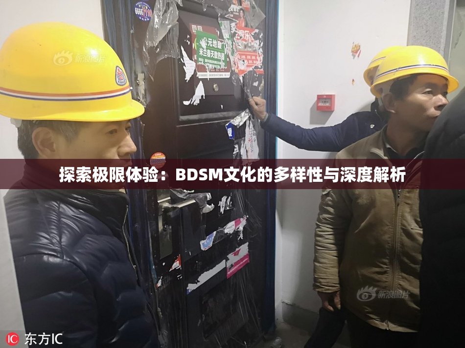 探索极限体验：BDSM文化的多样性与深度解析