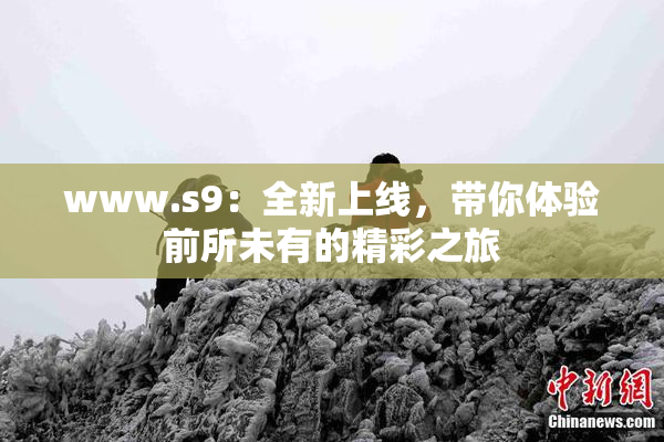 www.s9：全新上线，带你体验前所未有的精彩之旅