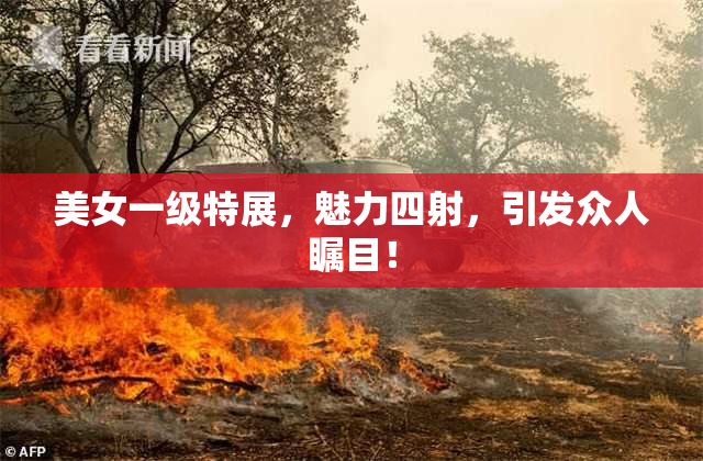 美女一级特展，魅力四射，引发众人瞩目！
