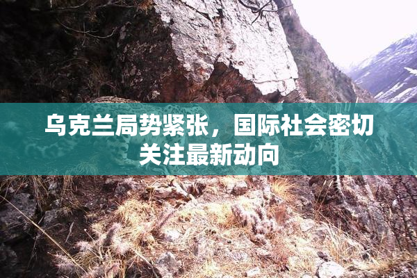 乌克兰局势紧张，国际社会密切关注最新动向