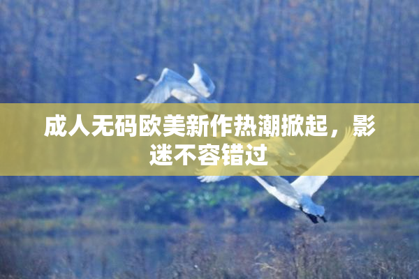 成人无码欧美新作热潮掀起，影迷不容错过