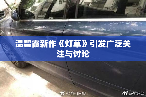 温碧霞新作《灯草》引发广泛关注与讨论