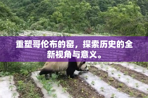 重塑哥伦布的窑，探索历史的全新视角与意义。