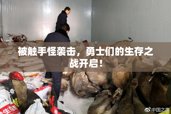 被触手怪袭击，勇士们的生存之战开启！