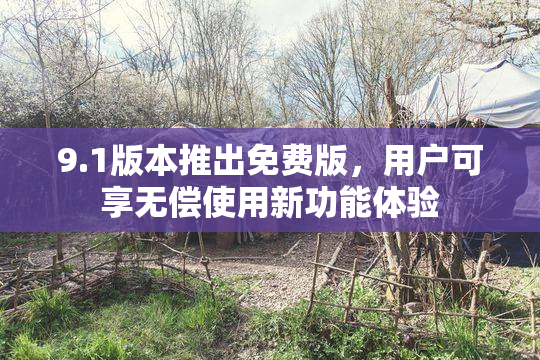 9.1版本推出免费版，用户可享无偿使用新功能体验
