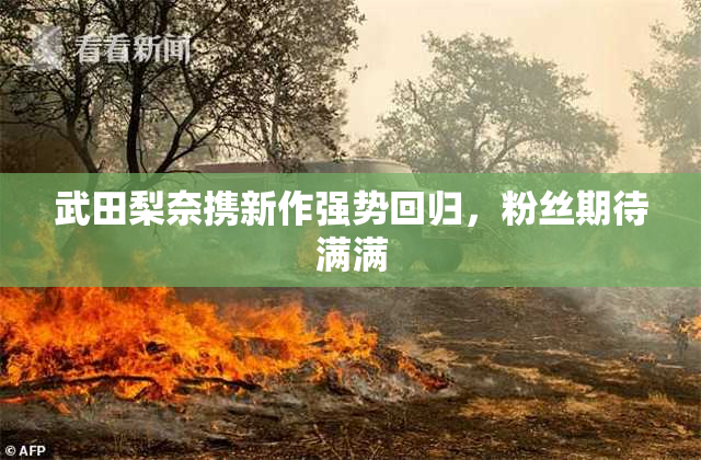 武田梨奈携新作强势回归，粉丝期待满满