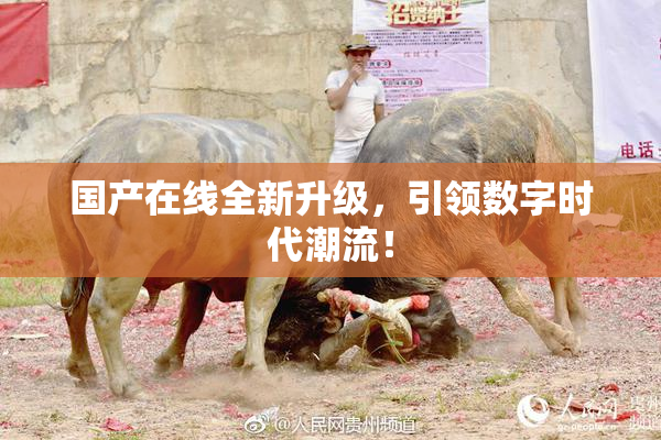 国产在线全新升级，引领数字时代潮流！