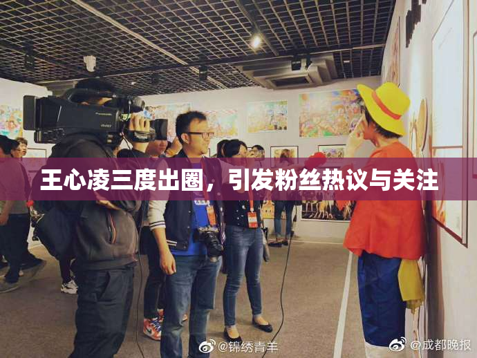 王心凌三度出圈，引发粉丝热议与关注