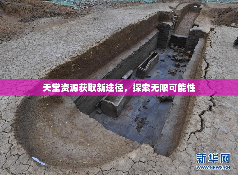 天堂资源获取新途径，探索无限可能性