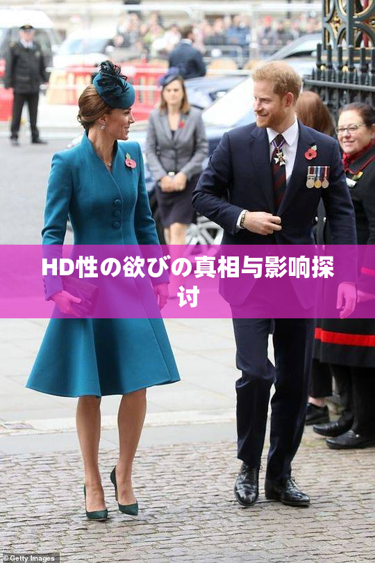 HD性の欲びの真相与影响探讨