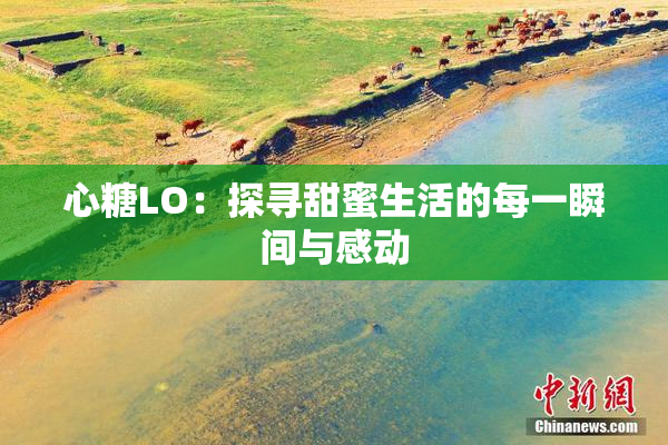 心糖LO：探寻甜蜜生活的每一瞬间与感动