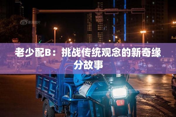 老少配B：挑战传统观念的新奇缘分故事