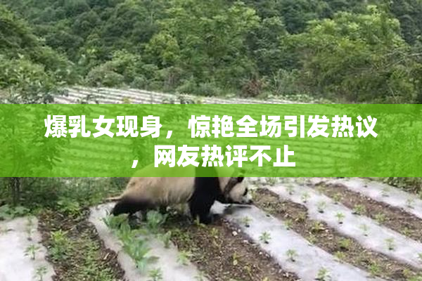 爆乳女现身，惊艳全场引发热议，网友热评不止