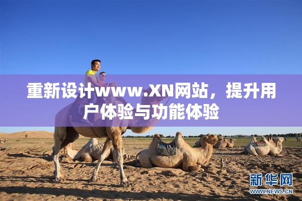 重新设计www.XN网站，提升用户体验与功能体验