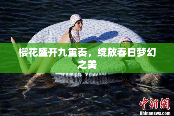 樱花盛开九重奏，绽放春日梦幻之美