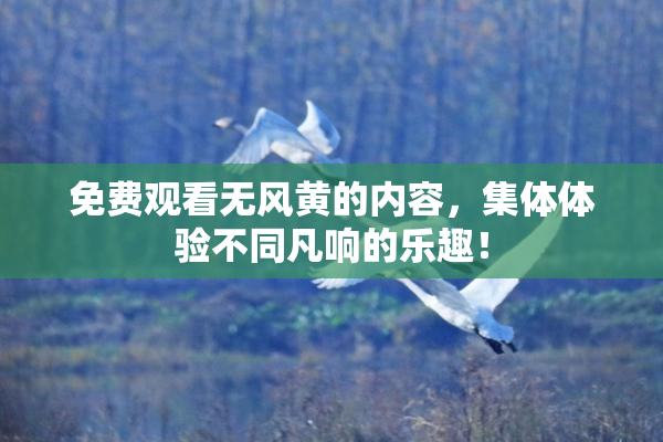免费观看无风黄的内容，集体体验不同凡响的乐趣！