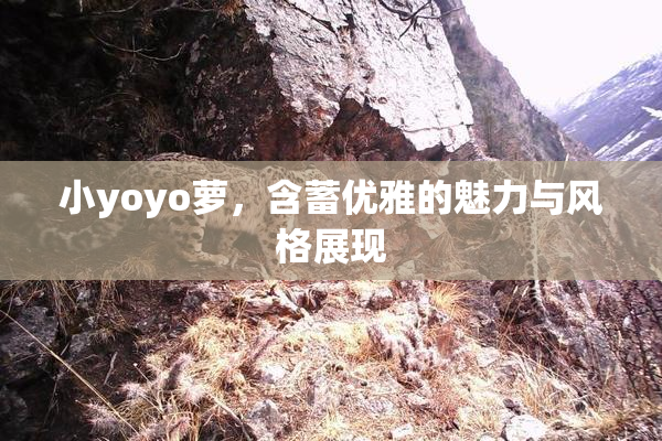 小yoyo萝，含蓄优雅的魅力与风格展现