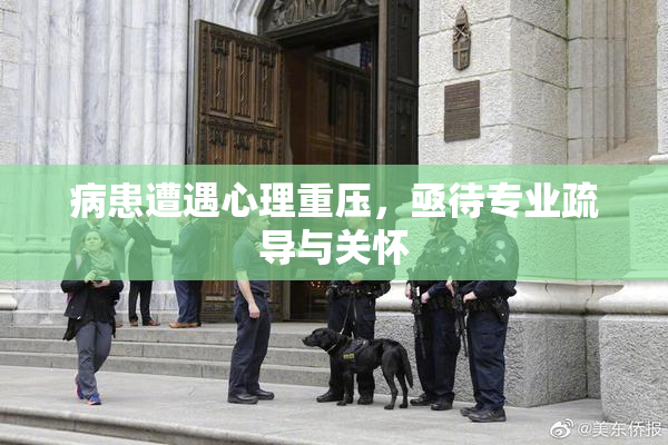 病患遭遇心理重压，亟待专业疏导与关怀