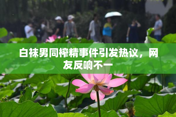 白袜男同榨精事件引发热议，网友反响不一