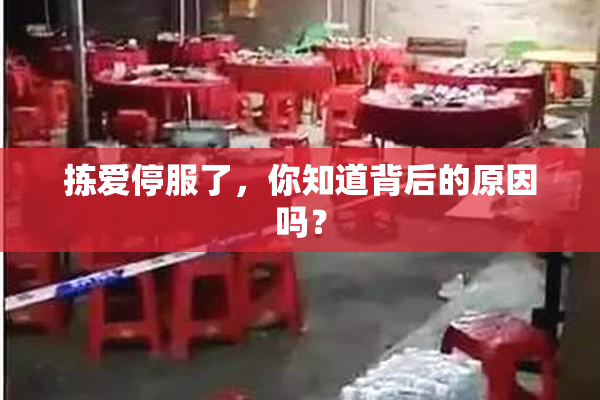 拣爱停服了，你知道背后的原因吗？