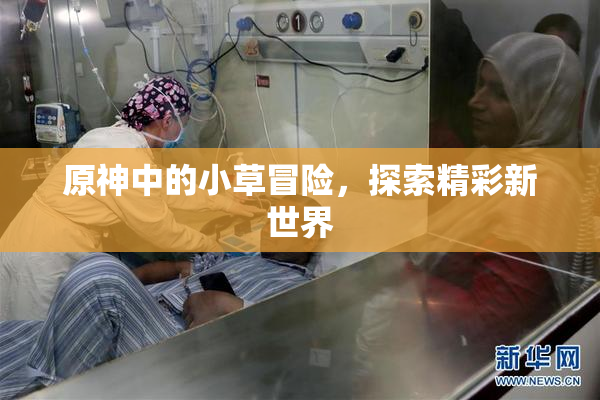 原神中的小草冒险，探索精彩新世界