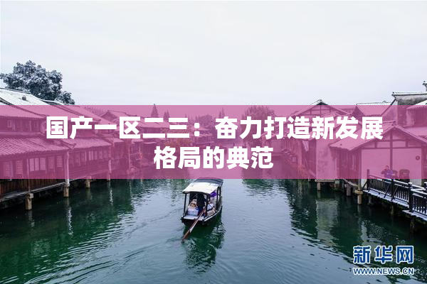 国产一区二三：奋力打造新发展格局的典范