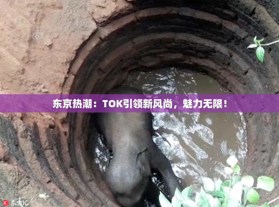 东京热潮：TOK引领新风尚，魅力无限！