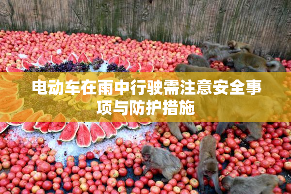 电动车在雨中行驶需注意安全事项与防护措施