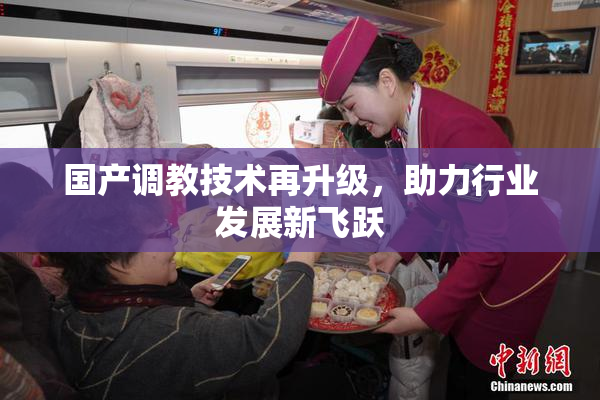 国产调教技术再升级，助力行业发展新飞跃