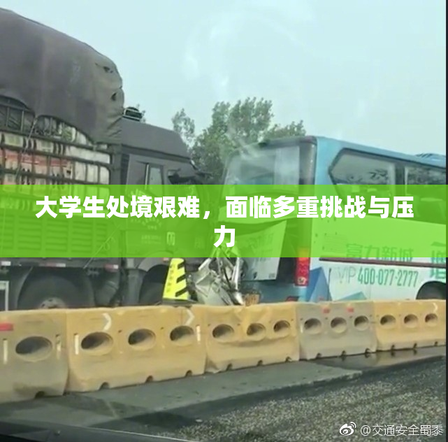 大学生处境艰难，面临多重挑战与压力