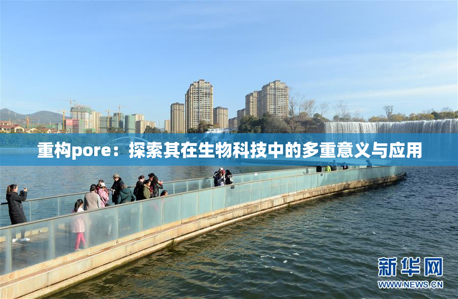 重构pore：探索其在生物科技中的多重意义与应用