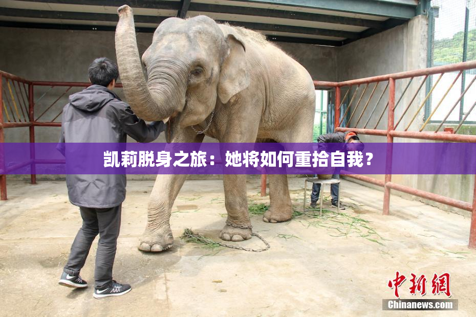 凯莉脱身之旅：她将如何重拾自我？