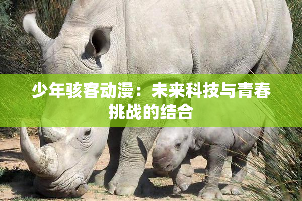 少年骇客动漫：未来科技与青春挑战的结合