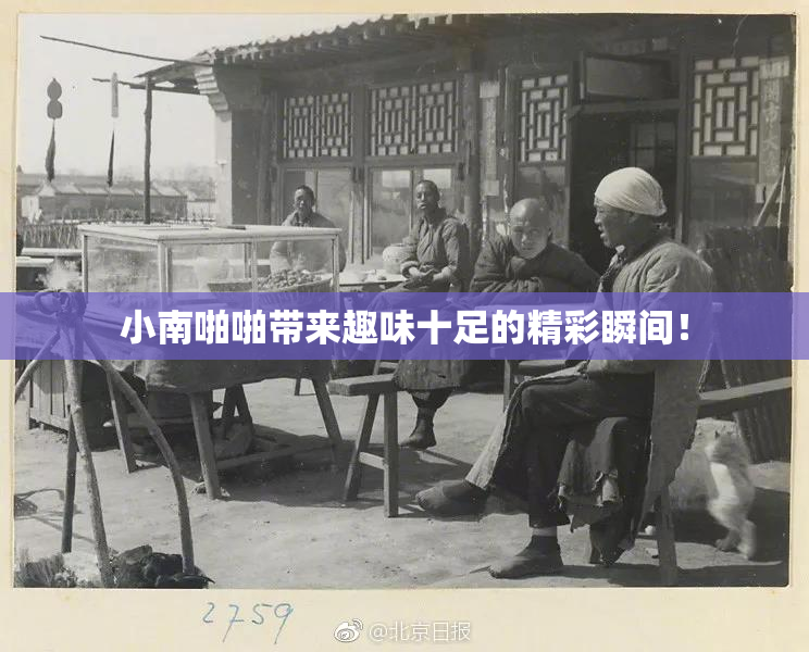 小南啪啪带来趣味十足的精彩瞬间！