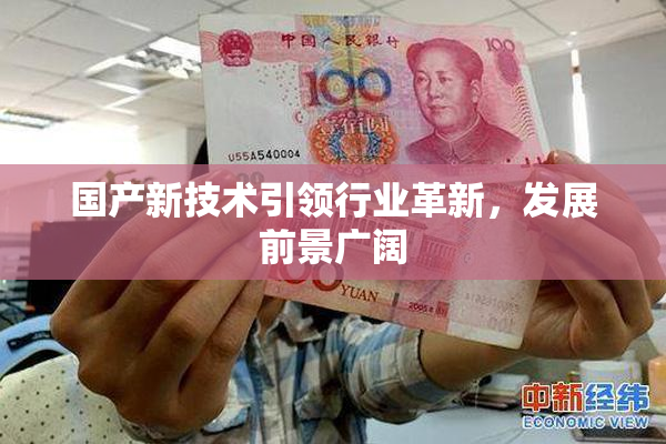 国产新技术引领行业革新，发展前景广阔