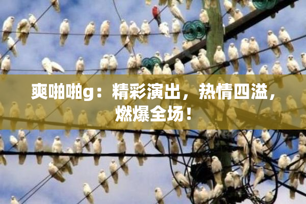 爽啪啪g：精彩演出，热情四溢，燃爆全场！